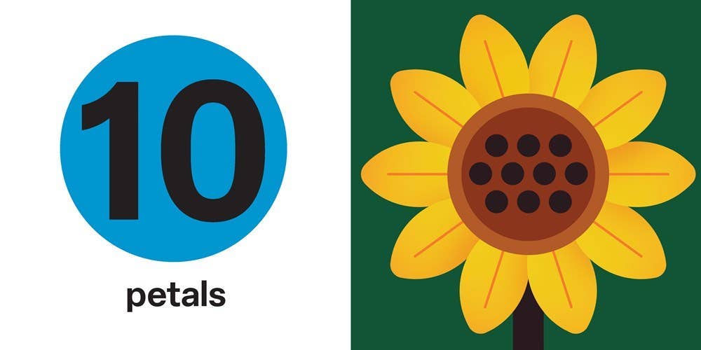 Spring Street Touch and Trace: Numbers: Board Books