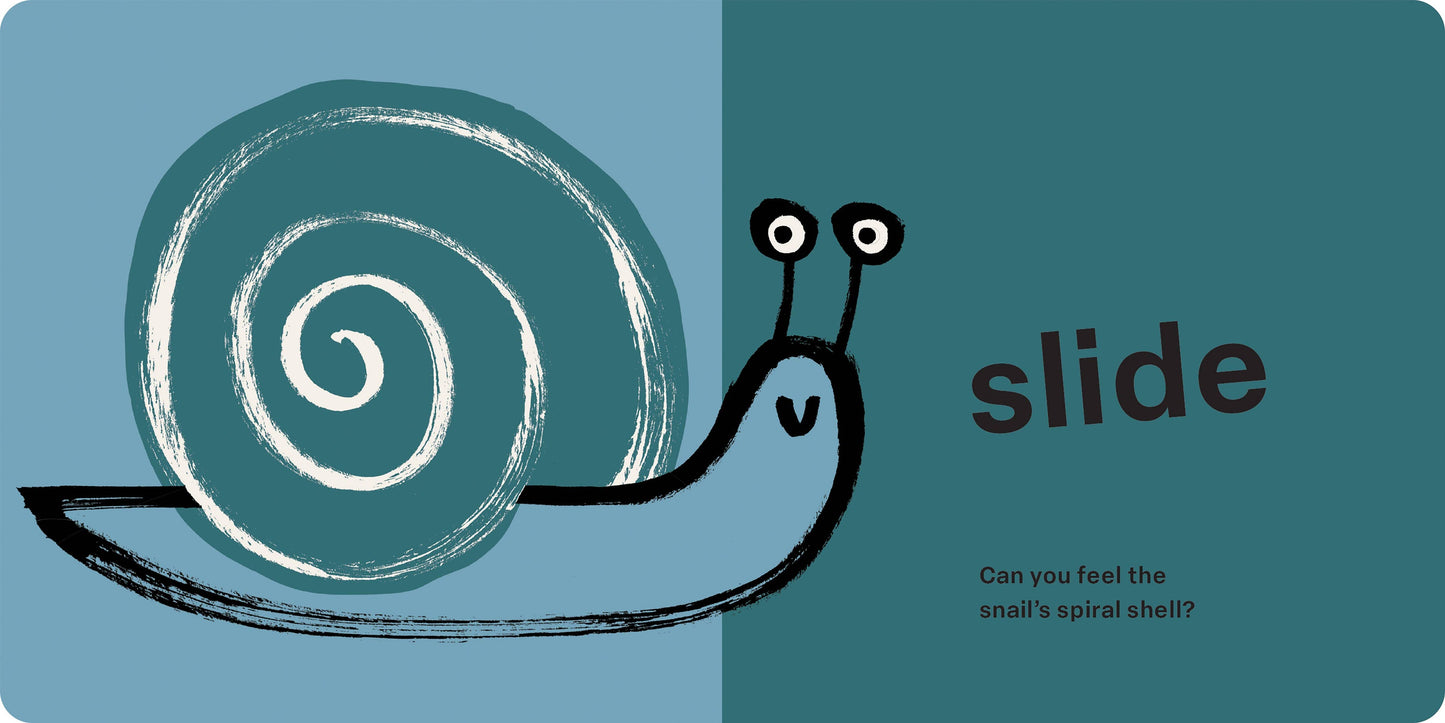Spring Street Touch and Feel: Bugs: Board Book