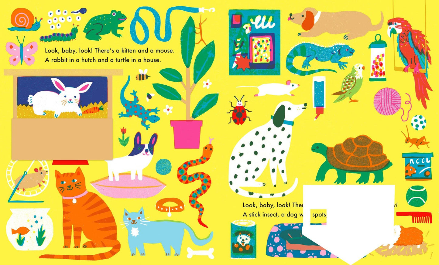 Look, Baby, Look! At Home: Board Book