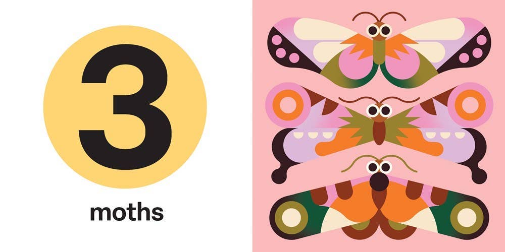 Spring Street Touch and Trace: Numbers: Board Books