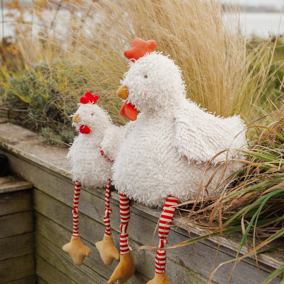 ❤️SALE - Big Clucky the Chicken