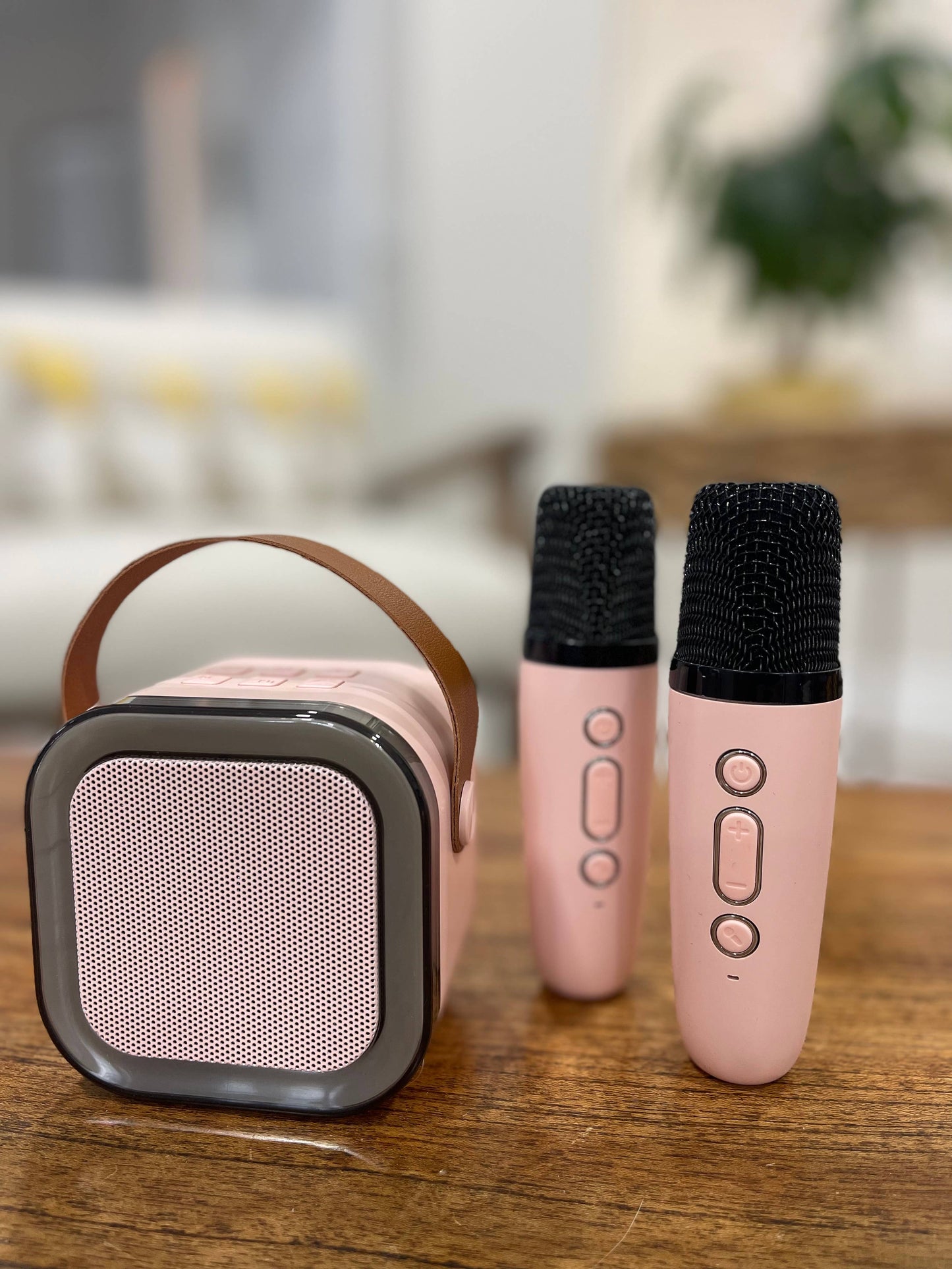 Karaoke Mini Set- Pink