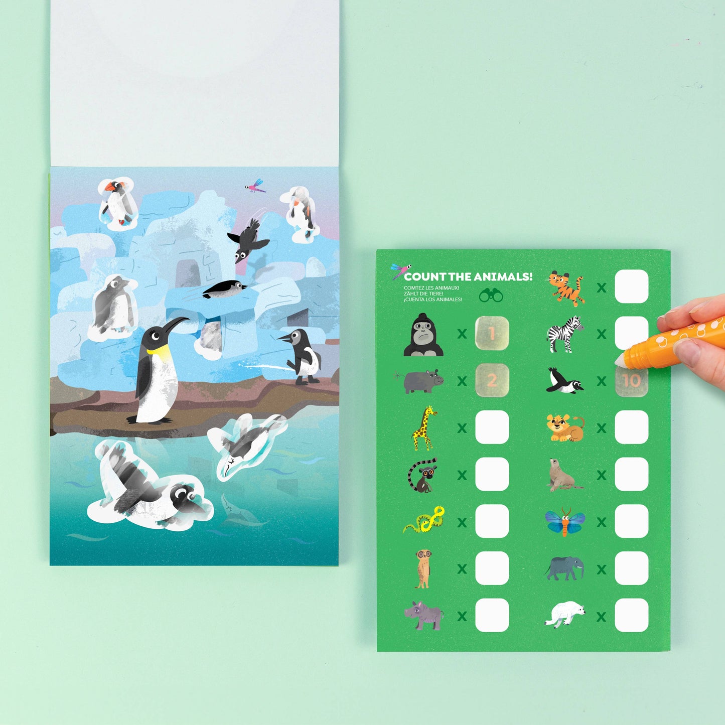 Colour Surprise - Zoo Adventures