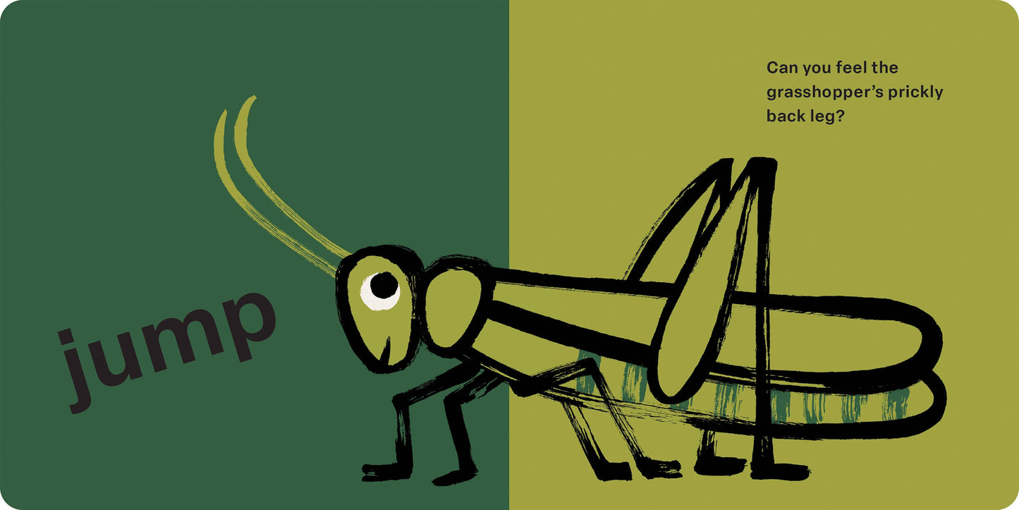 Spring Street Touch and Feel: Bugs: Board Book