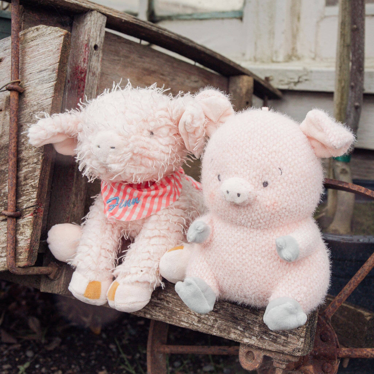 ❤️SALE - Baby Hammie the Pig